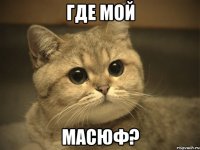 Где мой Масюф?