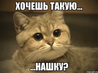 Хочешь такую... ...нашку?