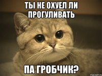 Ты не охуел ли прогуливать па гробчик?