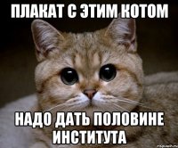 плакат с этим котом надо дать половине института