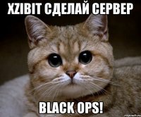 Xzibit сделай сервер Black ops!