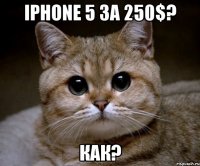 iPhone 5 за 250$? Как?