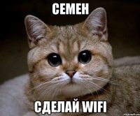 СЕМЕН СДЕЛАЙ wifi