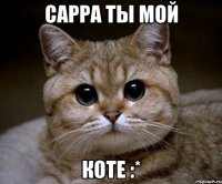 Сарра ты мой Коте :*