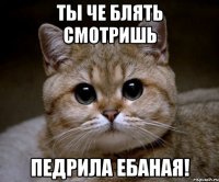 Ты че блять смотришь Педрила ебаная!