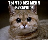 ТЫ ЧТО БЕЗ МЕНЯ БУХАЕШ?! 