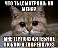 что ты,смотришь на меня? мне тер похуй,я тебя не люблю,я ток ревную:3