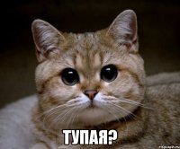  тупая?