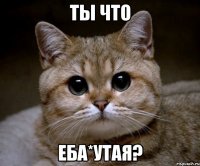 ты что еба*утая?