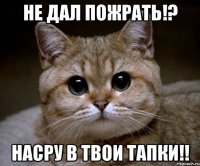 Не дал пожрать!? Насру в твои тапки!!