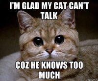I'm glad my cat can't talk Coz he knows too much