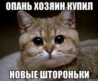 опань хозяин купил новые штороньки