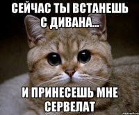 Сейчас ты встанешь с дивана... и принесешь мне сервелат