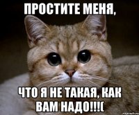 Простите меня, что я не такая, как вам надо!!!(