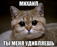 Михаил ты меня удивляешь