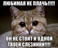 Любимая не плачь!!!!! он не стоит и одной твоей слезинки!!!!