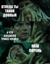 ОТКУДА ТЫ ТАКОЙ ДОННЫЙ А ЧТО БЛЕДМЕЙЛ ТРАКСЕ ХУЕВО ? НАШ ПОРЕНЬ