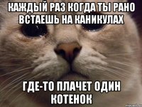 Каждый раз когда ты рано встаешь на каникулах Где-то плачет один котенок