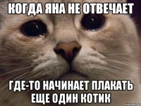 Когда Яна не отвечает Где-то начинает плакать еще один котик