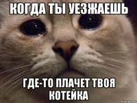 КОГДА ТЫ УЕЗЖАЕШЬ ГДЕ-ТО ПЛАЧЕТ ТВОЯ КОТЕЙКА