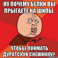 НУ ПОЧЕМУ БЕЛКИ ВЫ ПРЫГАЕТЕ НА ШИПЫ, ЧТОБЫ ПОЙМАТЬ ДУРАТСКУЙ СНЕЖИНКУ?