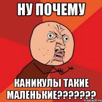 Ну почему каникулы такие маленькие???????