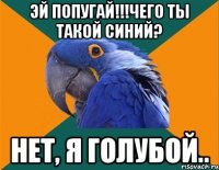 Эй попугай!!!Чего ты такой синий? Нет, я голубой..