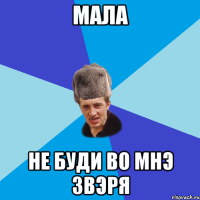 Мала не буди во мнэ звэря