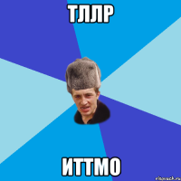 тллр иттмо