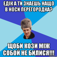 ЕДІК а ти знаешь нащо в носи перегородка? Щоби кози між собой не билися!!!