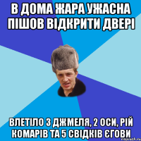 В дома жара ужасна пішов відкрити двері влетіло 3 джмеля, 2 оси, рій комарів та 5 свідків єгови