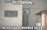 ПСС,ПАРЕНЬ... НЕ ХОЧЕШЬ НЕМНОЖКО ЗВЕРЯ ?