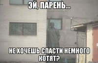  не хочешь спасти немного котят?