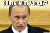 опять на студраду? 