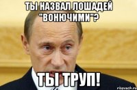 Ты назвал лошадей "Вонючими"? Ты труп!