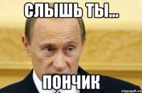 слышь ты... ПОНЧИК