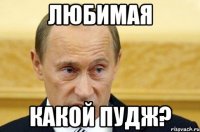 любимая какой пудж?