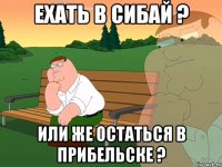 Ехать в Сибай ? или же остаться в Прибельске ?