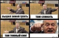 вышел зимой гулять там слякать там темный снег 