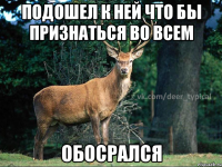 Подошел к ней что бы признаться во всем обосрался