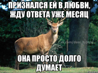 признался ей в любви, жду ответа уже месяц она просто долго думает