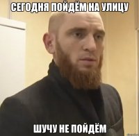 Сегодня пойдём на улицу Шучу не пойдём