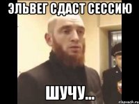 Эльвег сдаст сессию Шучу...