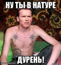 ну ты в натуре дурень!