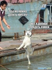 Тебе же нужно делать курсач! Нет, я должен страдать хуйней.