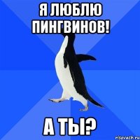 я люблю пингвинов! а ты?