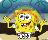  эссэ