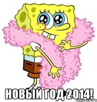  Новый год 2014!