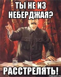 Ты не из Неберджая? Расстрелять!