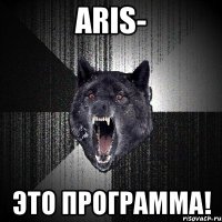 ARIS- это программа!